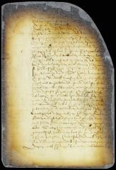 Petition of Tielman van Vleeck and a number of others for permission to settle a village