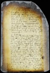 Letter from director Stuyvesant to secretary van Ruyven