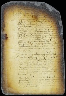 Letter from director Stuyvesant to the general court of Massachusetts