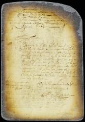 Letter from director Stuyvesant to the magistrates of Heemstead