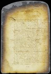 Appointment of burgomasters of New Amsterdam to assist the director-general in deciding cases in appeal where the fiscal is a party