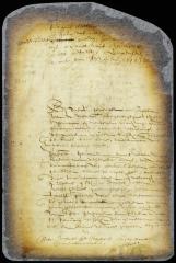 Judgment in the case between Andries de Haes and Jacob Vis