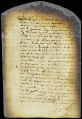 Petition of Cornelis van Gesel, complaining that Alexander d'Hinoyossa has seized all the property of the late Jacob Alrichs