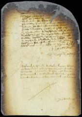 Report of the referees in the case of Peter Rudolphus vs. Balthazar de Heart