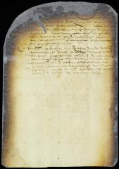 Judgment confirming the decision of the city court in the case of Peter Rudolphus vs. Balthazar de Heart