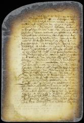 Ordinance excluding people without burgher right from trading to Fort Orange or other parts of New Netherland