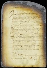 Order in the case of the guardian of the late Jacob Loper's minor children vs. Cornelis Melyn