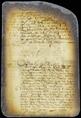 Minute of the appearance before the council of the magistrates of Heemsteede and the Indian chief Meantinnemin