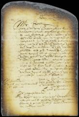 Order that Jacob Steendam receive payment from Elbert Elbertsen and Peter Cornelisen