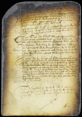 Report of director Stuyvesant's visit to Esopus and Fort Orange