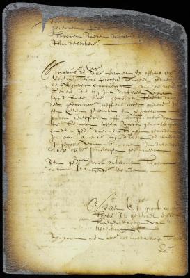 Judgment confiscating certain beavers from Teunis Pietersen Tempel