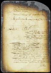 Petition of Joannes Nevius for an allowance for rent and fuel