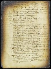 Judgment against Nicholas de Meyer for an assault committed on an Indian