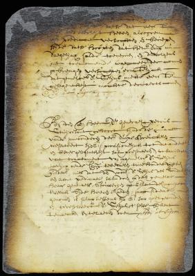 Offer of director Stuyvesant to pay 250 guilders annually to the rev. Mr. Selyns