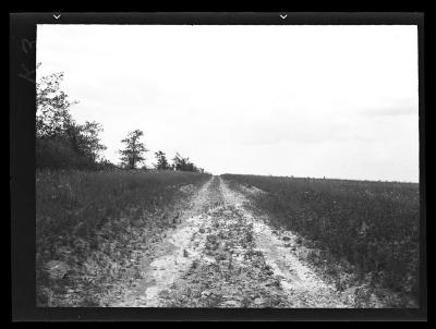 Civilian Conservation Corps truck trail, Almond, N.Y.