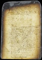 Order respecting the accounts of Johan de Decker and Brian Nuton