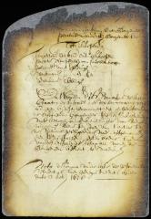 Appointment of the burgomasters and schepens of New Amsterdam for the ensuing year