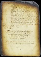 Letter from director Stuyvesant to the magistrates of Rustdorp