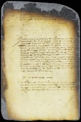 Order in a suit between Mettje Wessels and Govert Loockermans