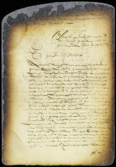 Petition of the schout, burgomasters and schepens of New Amsterdam for an enlargement of the burgher right