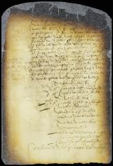 Nominations for churchwarden, orphan master, and firewarden of the city of New Amsterdam