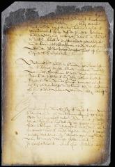 Resolution discharging the Swedish sheriff at the Delaware and conferring his powers on commissary Beeckman