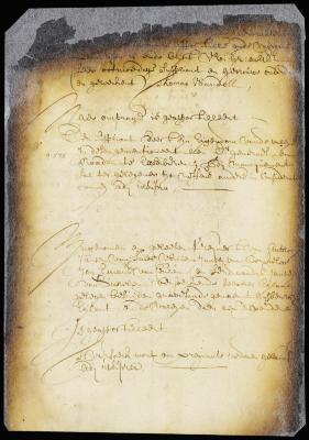 Order refusing the petition of Anthony Jansen van Faes, William Jansen van Borckeloo, and Jan Emaus for a grant of Gysberts island