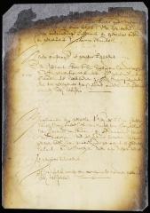 Order refusing the petition of Anthony Jansen van Faes, William Jansen van Borckeloo, and Jan Emaus for a grant of Gysberts island