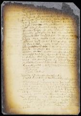 Letters patent establishing independent courts of justice at Midwout and Amersfoort, L. I.