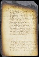 Ordinance of director and council of Renselaerswyck forbidding trade in the woods with Indians
