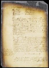 Proposals of some Mohawk chiefs on their return from the South river