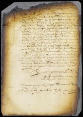 Petition of Jacob Jansen van Campen for leave to remain at large until his trial for wounding John de Witt