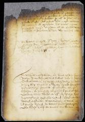 Minute of Cornelis Melyn's refusal to surrender the soil of Staten Island to the W. I. Company