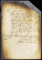 Order to magistrates of Bushwick not to dispose of the salt meadow claimed by Thomas Wandel until further authorized