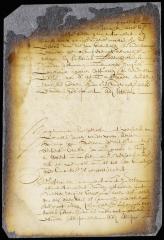 Order for the survey of a tract of land at Canaresse petitioned for by Paulus Jansen van der Veer and others