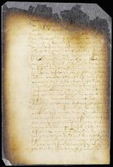 Petition of Thomas Wandel with proofs of his title to a certain salt meadow near Smith's island