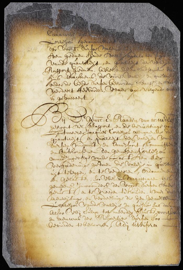 Order to survey a valley at Canarisse, L. I., and others in dispute between Midwout and Amesfoort