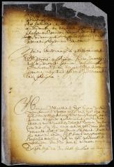  Order obliging Cornelis de Potter's widow to deliver two stones to William Wilkins
