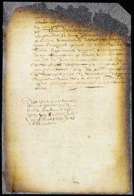 Judgment confiscating goods from Storm Albertsen