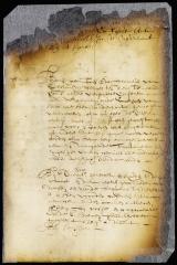 Petition of Bartholomew van Schel, mason, for an increase of wages