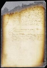 Suit of the curators of the estate of Cornelis Herperts Jaeger to recover a pipe of brandy from the custom house