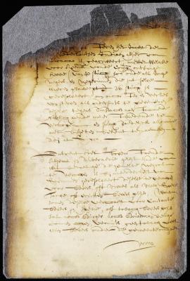 Resolution to offer at public sale on public account forty slaves recently received from Curaçao