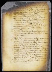 Action of damages by Jan van Cleef against Jan Tomassen