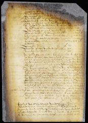 Sentence fining Jan Tomassen (van Dyck) 300 guilders