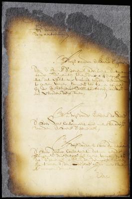 Advice and resolution of the members of the council on the petition of the burgomasters of New Amsterdam for slaves