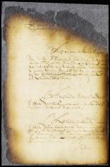 Advice and resolution of the members of the council on the petition of the burgomasters of New Amsterdam for slaves
