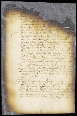Judgment against Harmen Bartels