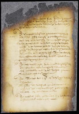 Conditions of sale of a lot of slaves in New Amsterdam