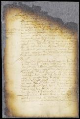 Answer of the director and council to proposals from a company in New England, with translation in English