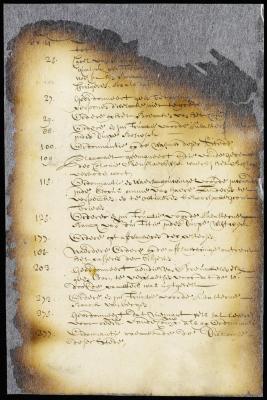 Registers of the minutes of council for 1661